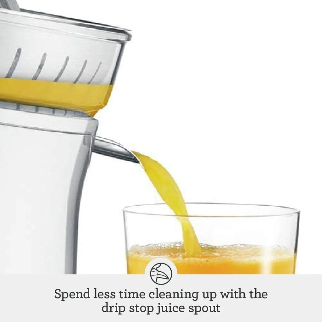Silver Citrus Press V522371