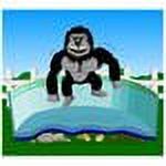Gorilla Floor Padding 12' x 24' Oval T71014