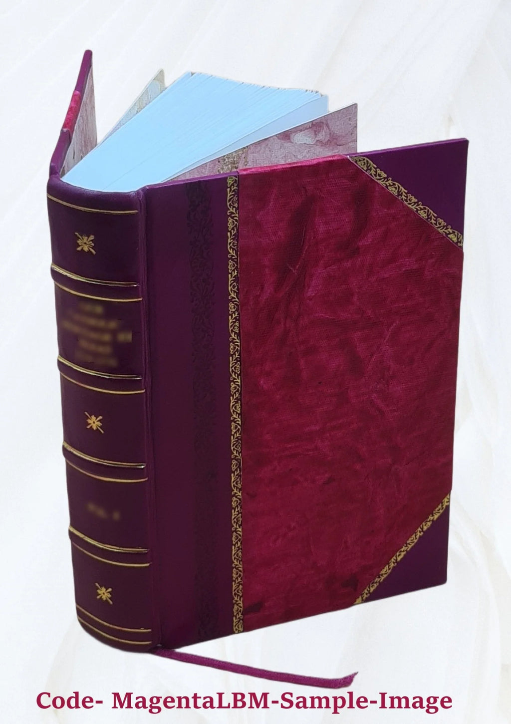 Leather Bound Book Z5596
