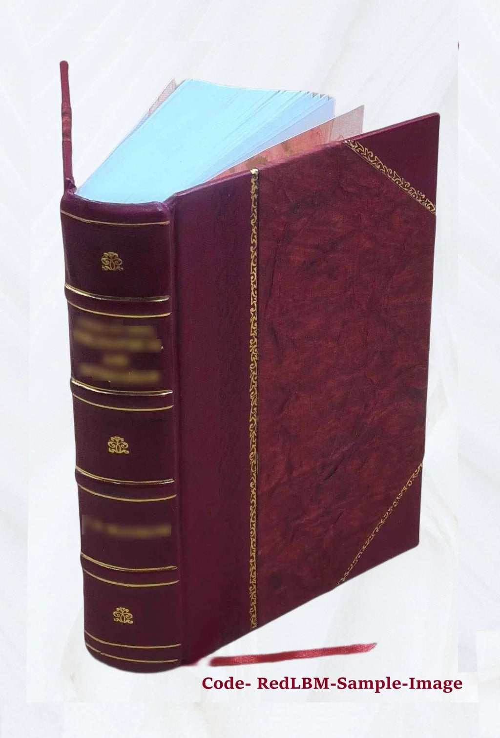 Leather Bound Book Z5596