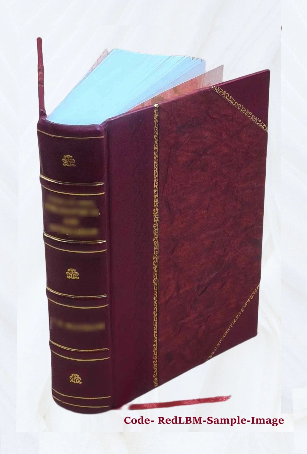 Leather Bound Book Z5596
