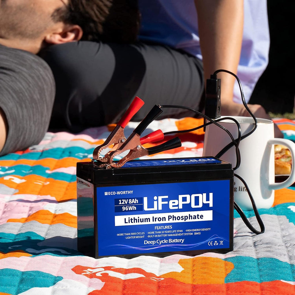 12V 8Ah LiFePO4 Lithium Iron Phosphate Battery Pack of 2 Q231
