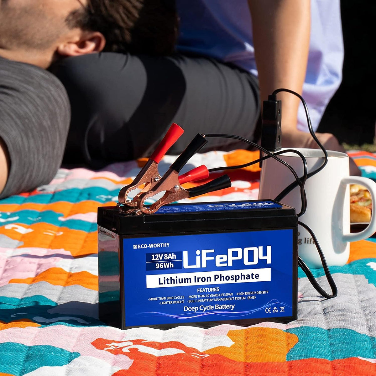 12V 8Ah LiFePO4 Lithium Iron Phosphate Battery Pack of 2 Q231