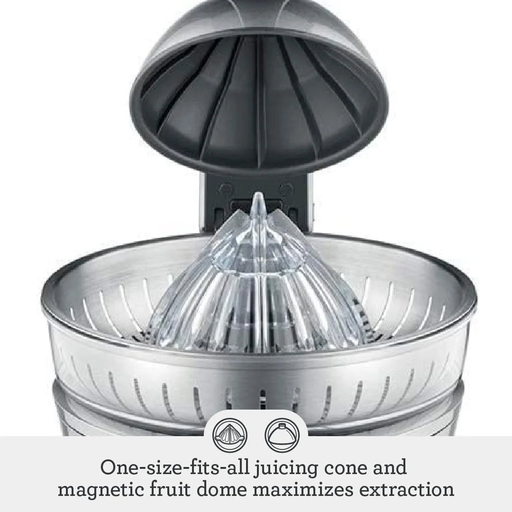 Silver Citrus Press V522371
