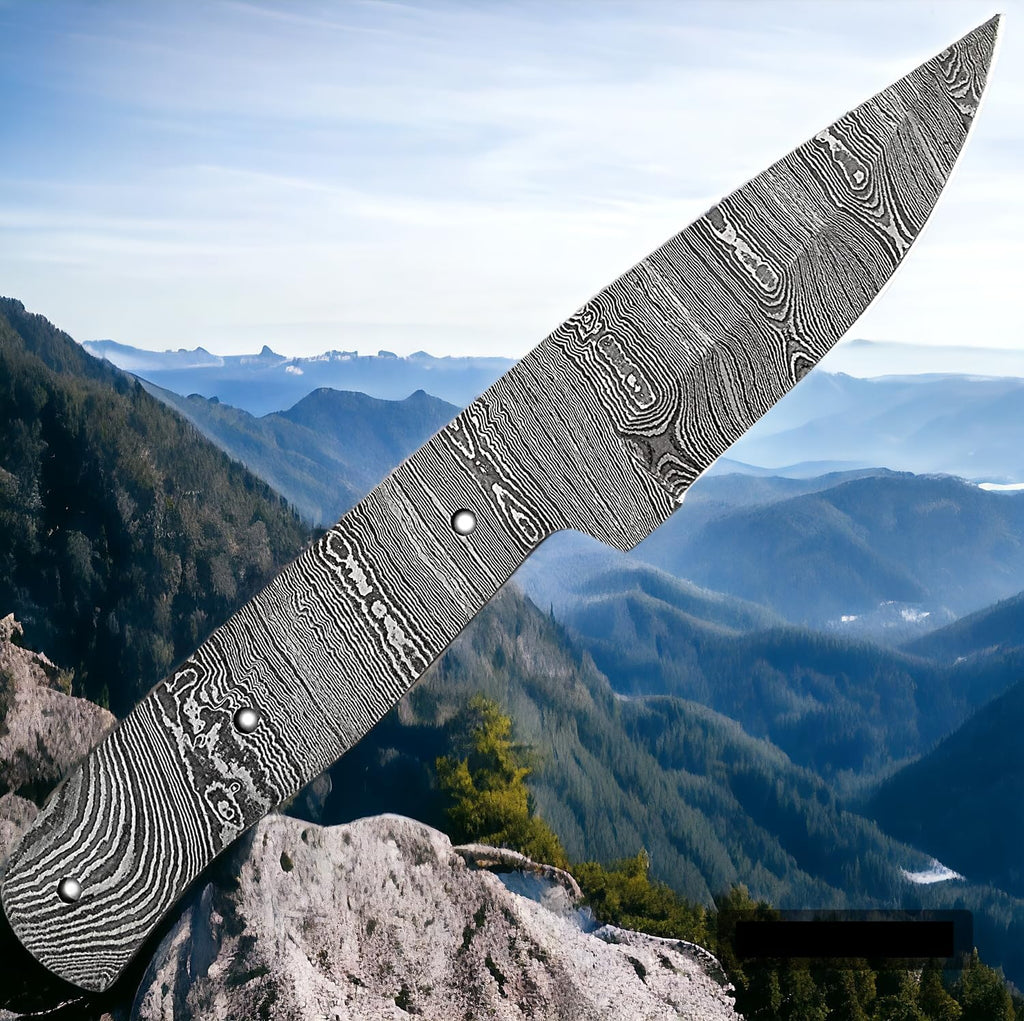 Damascus steel Full Tang Blank Blade Knife C1207