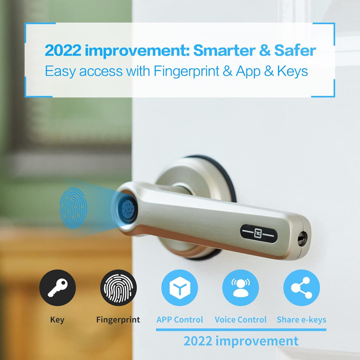 Silver Smart Door Lock with Fingerprint C883