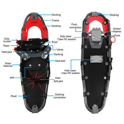Snowshoes with Walking Poles and Carrying Bag I6753