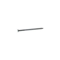 2-1/2 in. Bright Steel Common Nail 50 lb. Q609