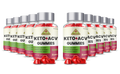 Keto ACV Gummies 10 Pack J192460