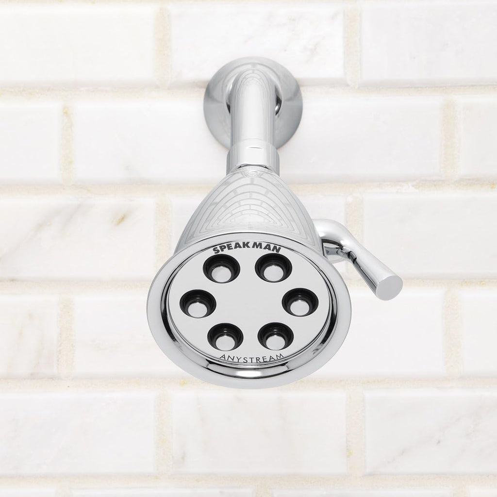 Polished Chrome Shower Head, Pack of 2 F655035