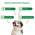 Hemp Mobility Bites for Dogs X706