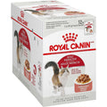 Adult Instinctive Chunks in Gravy Cat Food Pouch Y6083