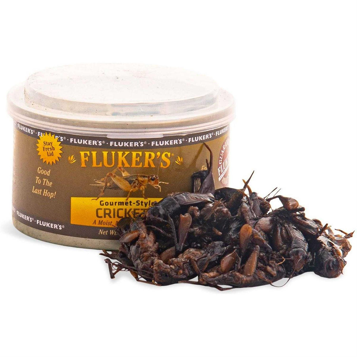 Canned Crickets I559951