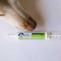 Ready Balance for Dogs P3236