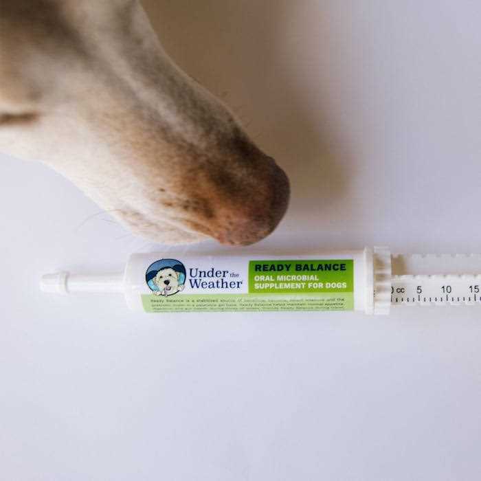 Ready Balance for Dogs P3236