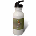 21 oz Sports Water Bottle B751052