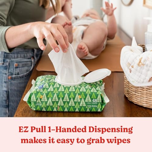 Unscented Hypoallergenic Baby Wipes, 768 Wipes Total N164