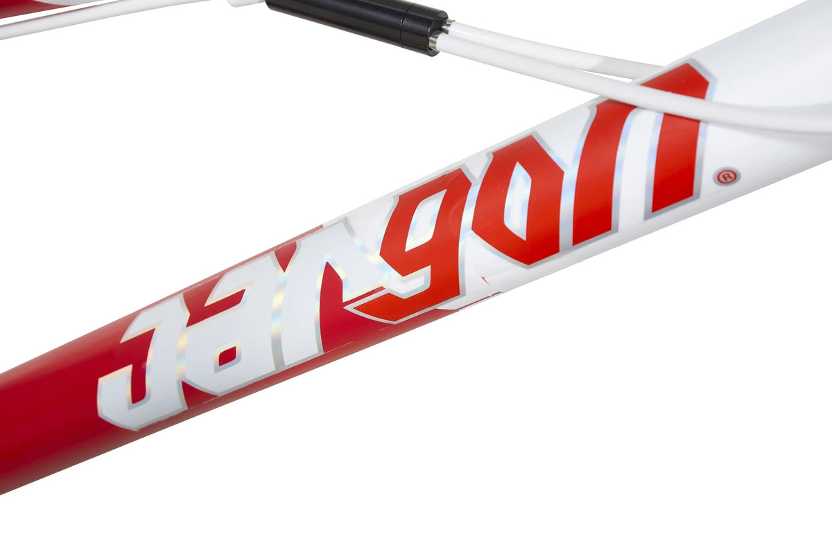 20-Inch BMX Bike U92523