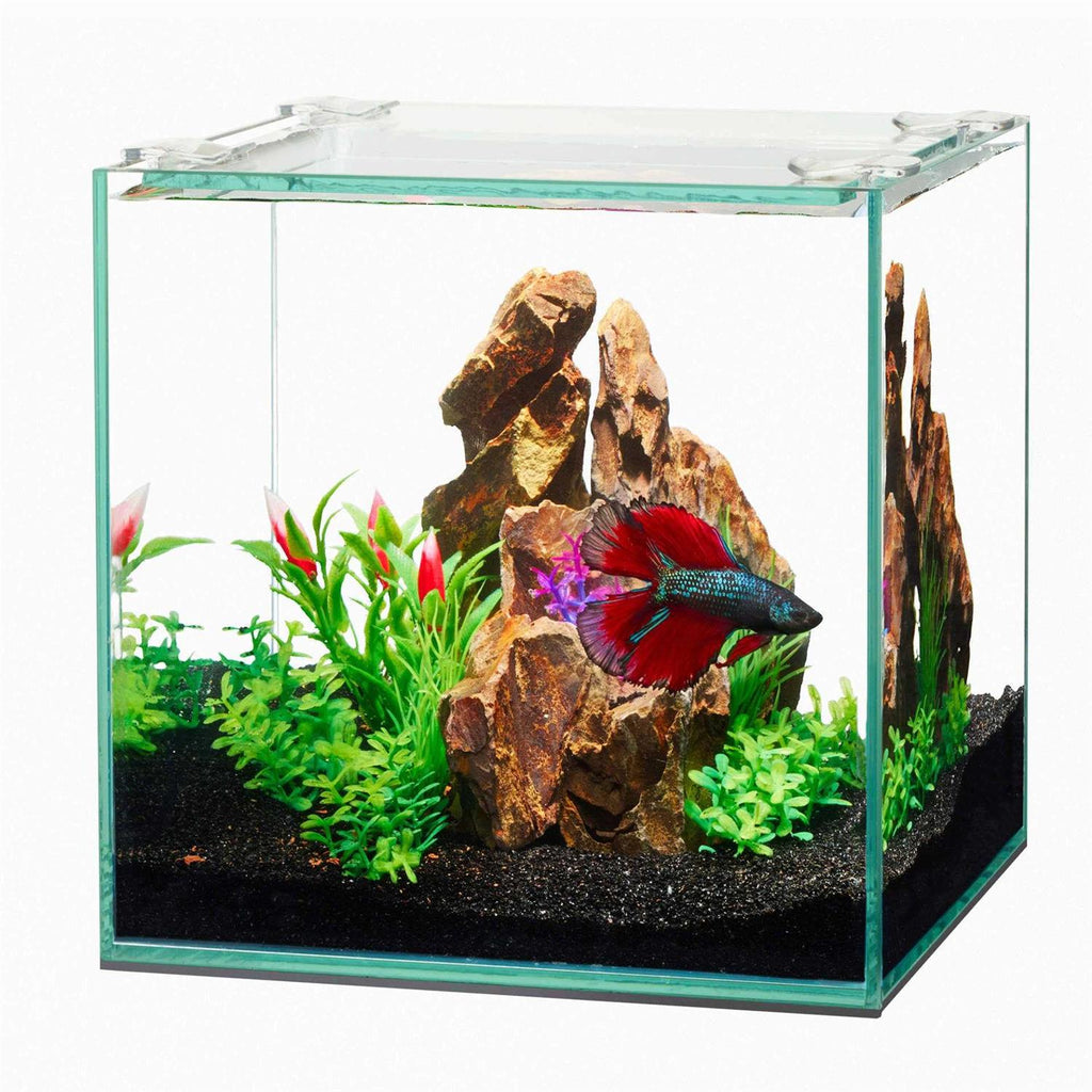 Frameless Cube Aquarium O103
