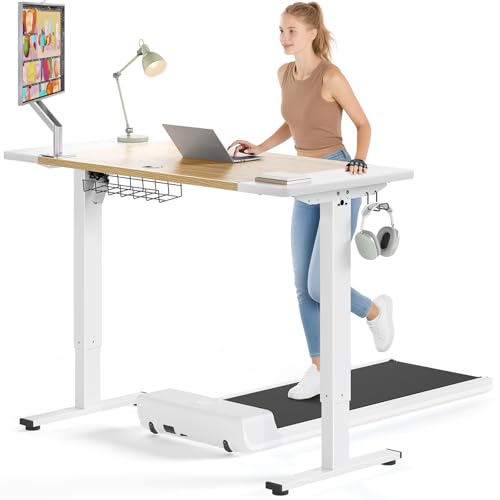 Electric Standing Desk 48 x 24 Inch with Cable Management D6762