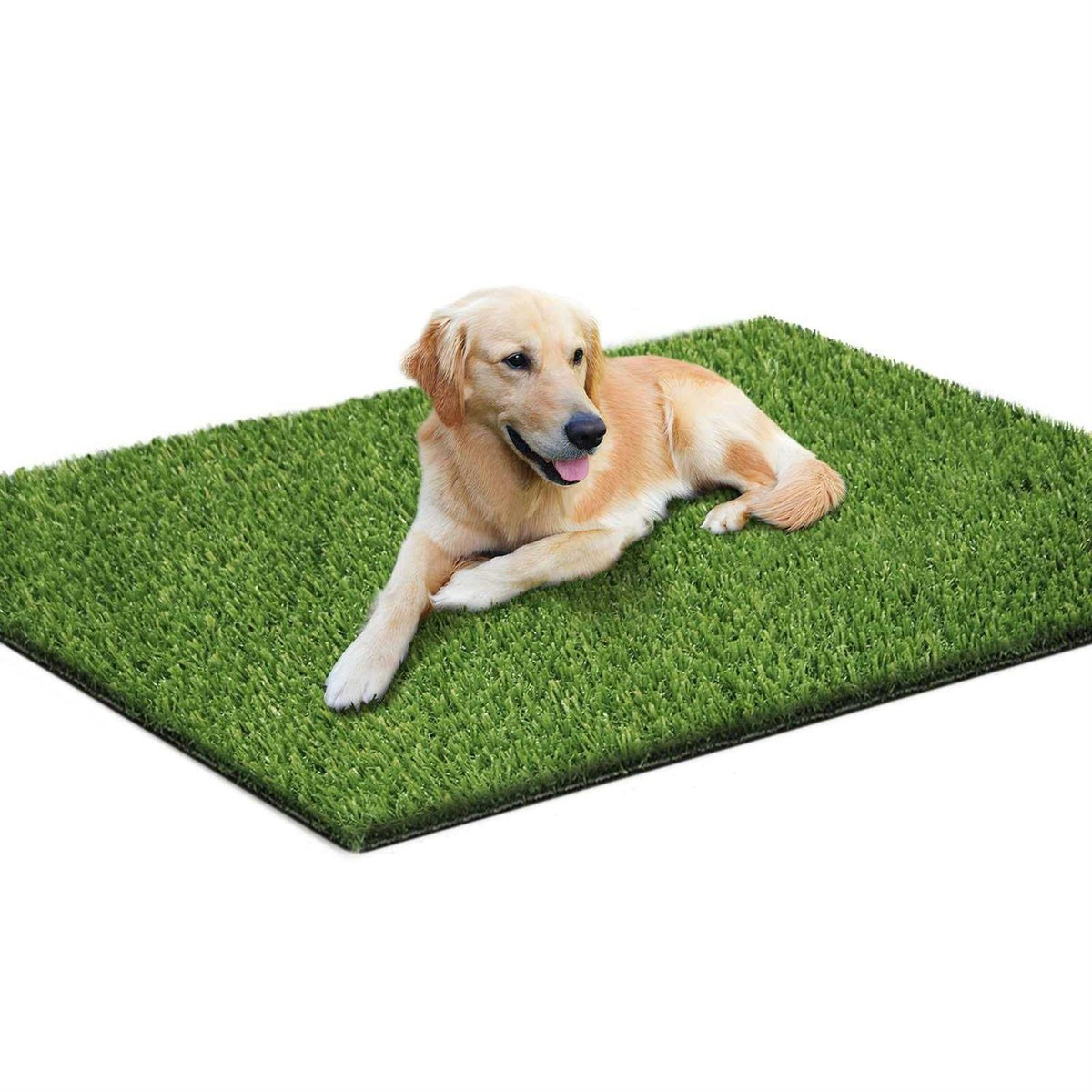 39.4 x 31.5 Inches Washable Artificial Grass Rug V406