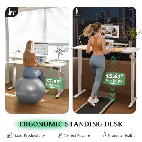 Electric Standing Desk 48 x 24 Inch with Cable Management D6762