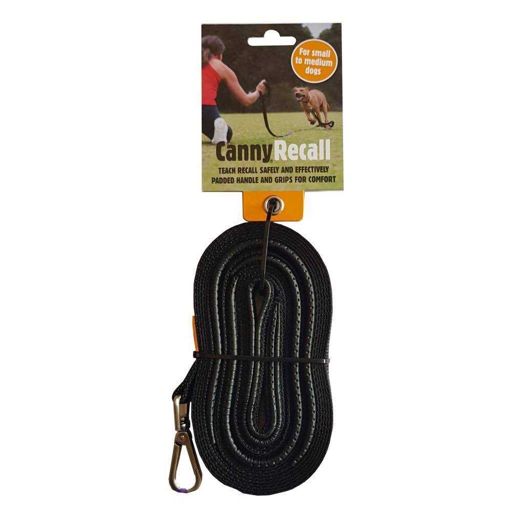 Leash T979