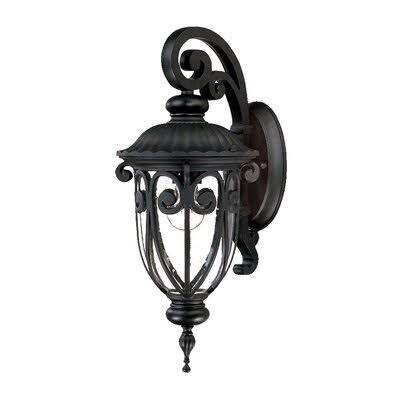 1-Light Matte Black Outdoor Wall Lantern Z30825