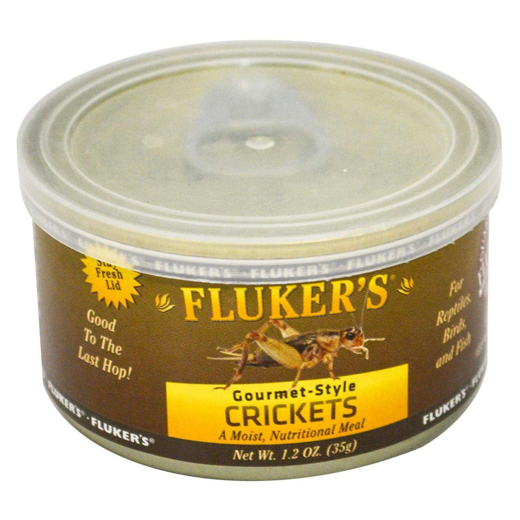 Canned Crickets I559951