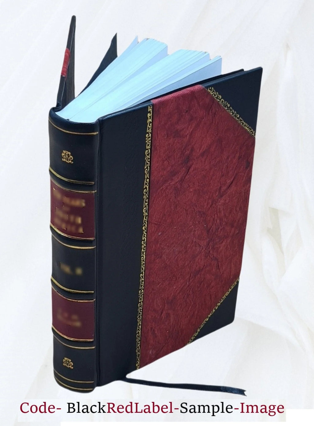 Leather Bound Book X769