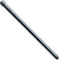 Hot Galvanized Finish Nail N9379