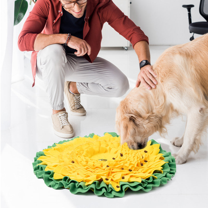 Snuffle Mat for Dogs, 26 Inch F199