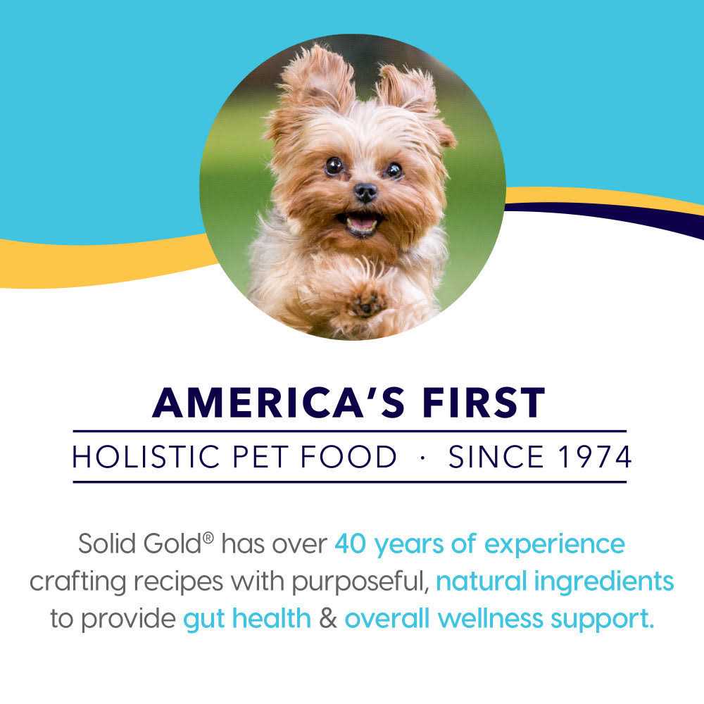 Solid Gold Small Breed Dry Dog Food J6987