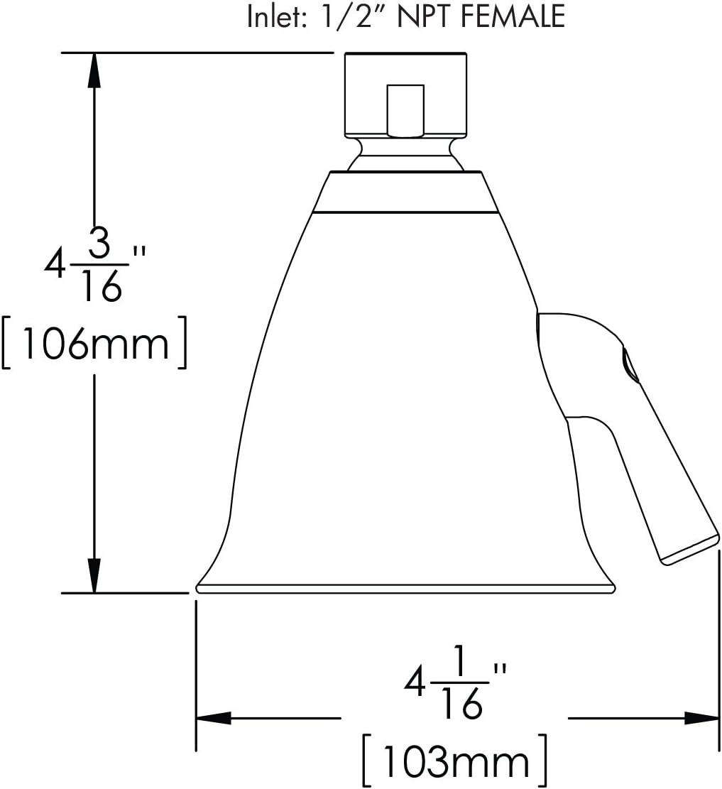 Polished Chrome Shower Head, Pack of 2 F655035