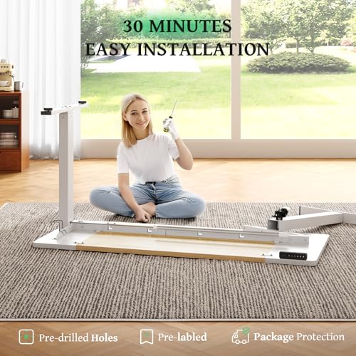 Electric Standing Desk 48 x 24 Inch with Cable Management D6762
