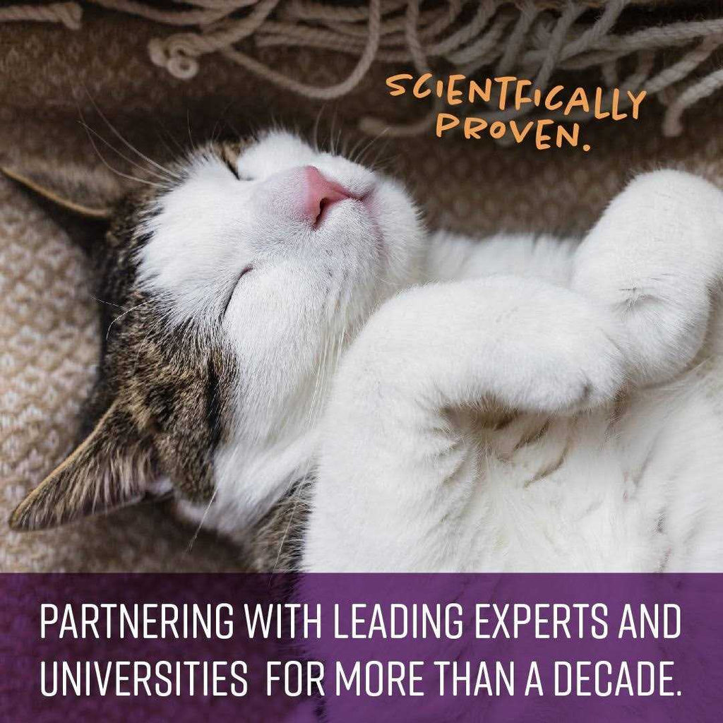 Calming Chews for Cats Y5652