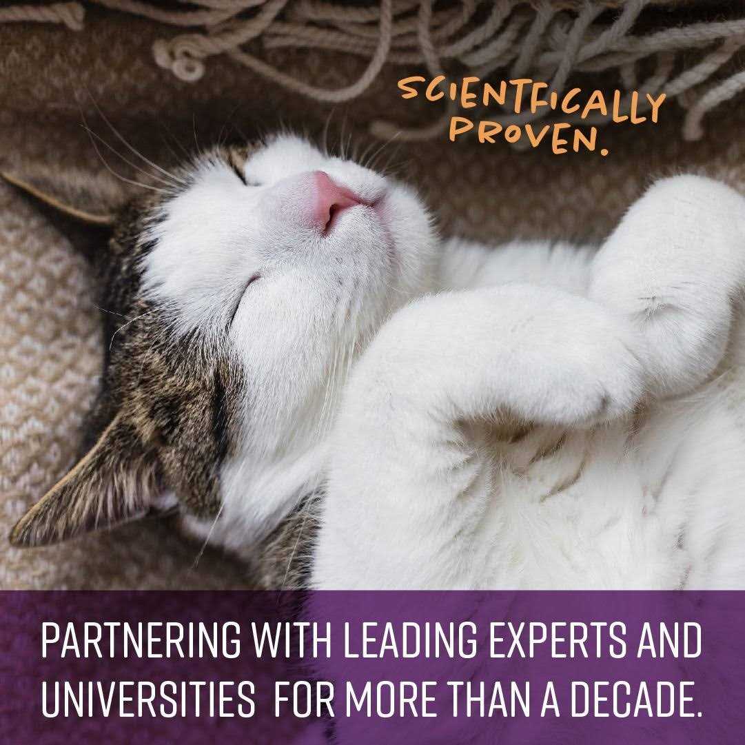 Calming Chews for Cats Y5652